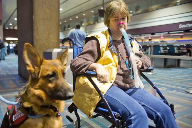 Amy Graves, accompanied by her service dog, Kharma, check in at McCarran International Airport and await their flight to Fort Lauderdale, Fla., Thursday Feb. 5, 2014. Graves, who suffers from muscular dystrophy, was refused a seat by Virgin Air on her original flight because of her ventilator.